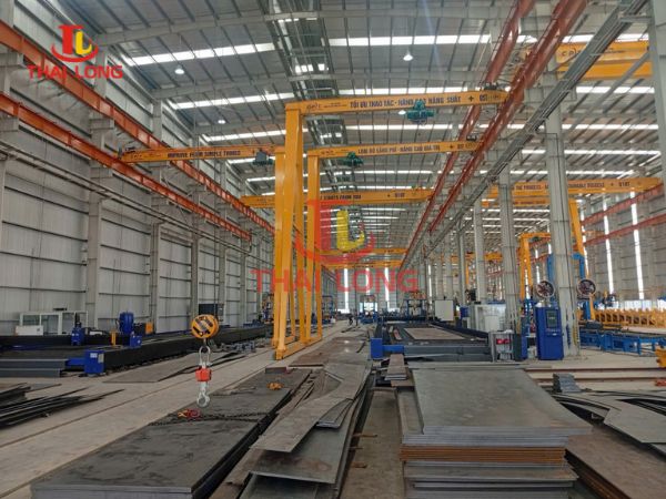 Hạnh mục lắp đặt bán cổng trục 5T do Thái Long thực hiện